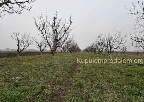 Plac Ugrinovci centar, 110 ari + voćnjak Uknjižen 1/1 - 4/10