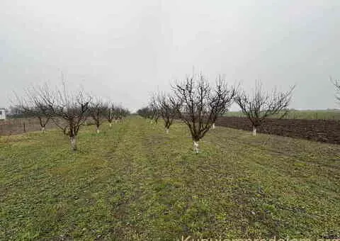 Plac Ugrinovci centar, 110 ari + voćnjak Uknjižen 1/1 - 5/10