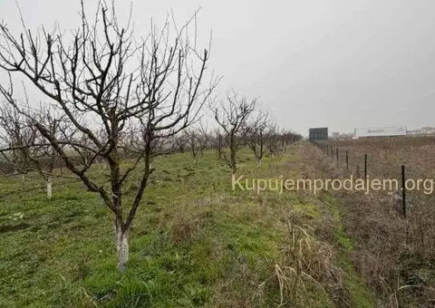 Plac Ugrinovci centar, 110 ari + voćnjak Uknjižen 1/1 - 7/10