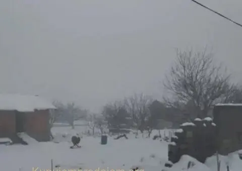 Plac sa kucom Beograd-Borca - 8/10