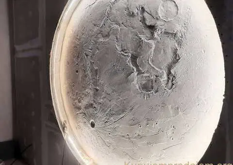 Gipsarsko fasadersko molerski radovi, farbanje krovova I masinsko krečenje - 3/11