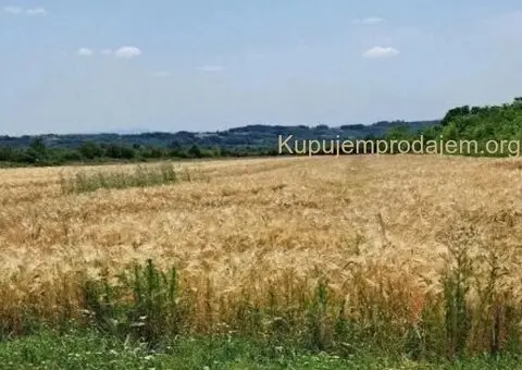 Njiva Barajevo-Veliki Borak - 1/7