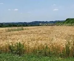 Njiva Barajevo-Veliki Borak