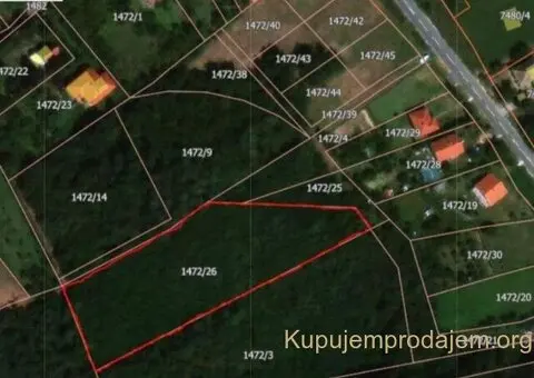 Prodaje se šumsko zemljište na opštini Barajevo-Batašina