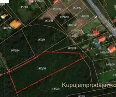 Prodaje se šumsko zemljište na opštini Barajevo-Batašina