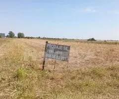 Dobanovci-gradjevinsko zemljiste 103 ara