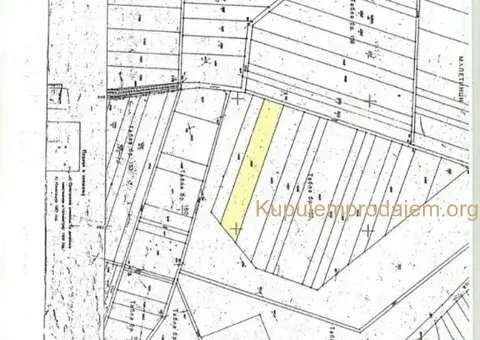 Dobanovci-gradjevinsko zemljiste 103 ara - 3/9