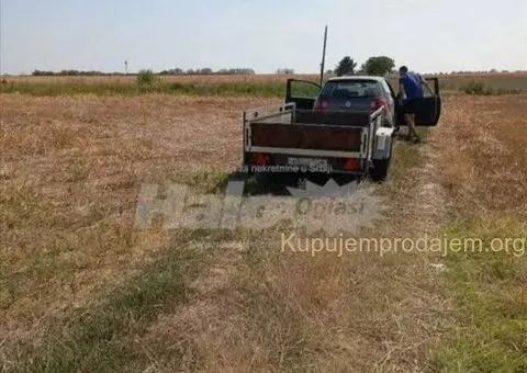 Dobanovci-gradjevinsko zemljiste 103 ara - 8/9