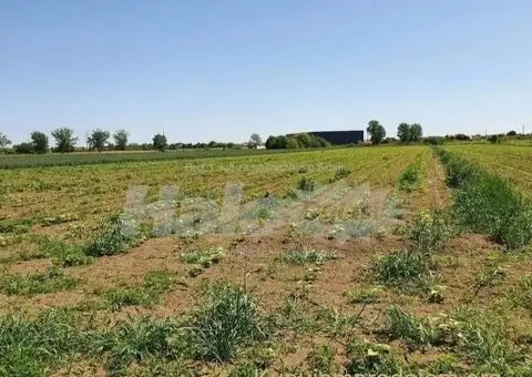 Dobanovci-gradjevinsko zemljiste 103 ara - 9/9