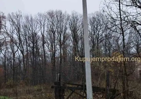 Plac, Trešnja  25000e - 1/8