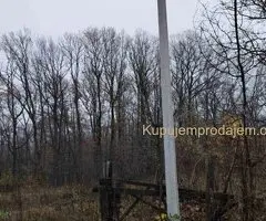 Plac, Trešnja  25000e