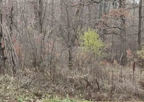 Plac, Trešnja  25000e - 2/8