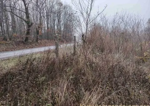 Plac, Trešnja  25000e - 3/8