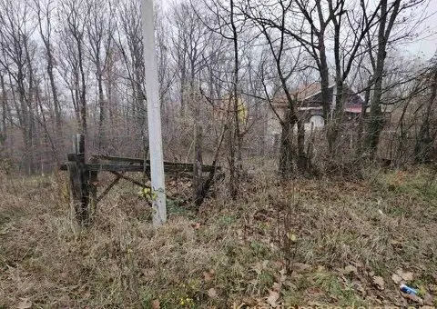 Plac, Trešnja  25000e - 7/8