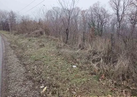 Plac, Trešnja  25000e - 8/8