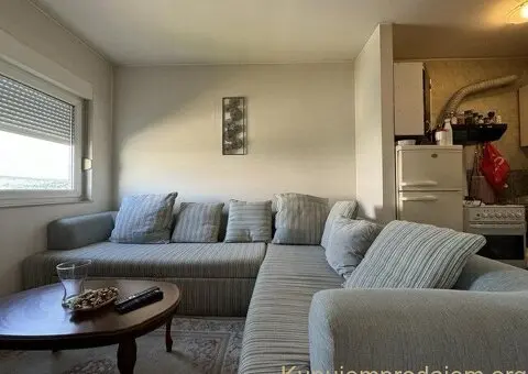 Vlasnik izdaje nameštenu garsonjeru, 30 kvm, na III spratu od III (nije potkrovlje) - 1/8