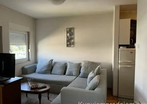 Vlasnik izdaje nameštenu garsonjeru, 30 kvm, na III spratu od III (nije potkrovlje) - 3/8