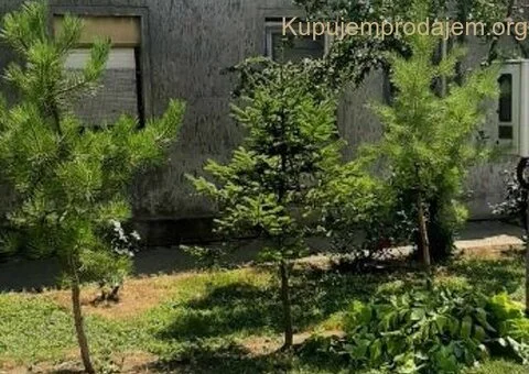 Prodajem kucu u Debeljaci-Kovacica - 6/10